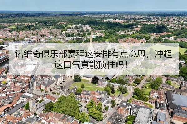 诺维奇俱乐部赛程这安排有点意思，冲超这口气真能顶住吗！ - leyu