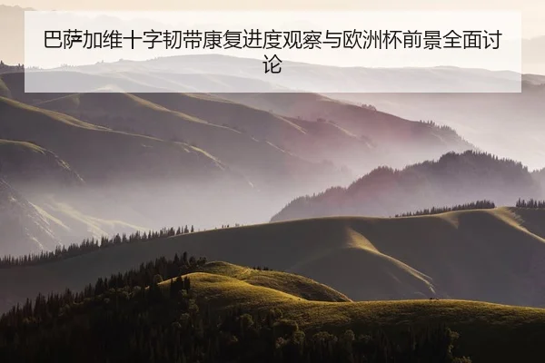 巴萨加维十字韧带康复进度观察与欧洲杯前景全面讨论 | leyu