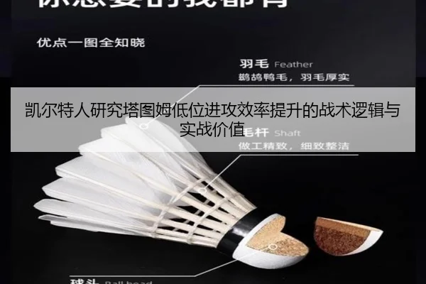 凯尔特人研究塔图姆低位进攻效率提升的战术逻辑与实战价值 | leyu