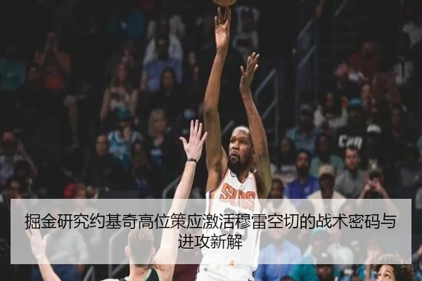 掘金研究约基奇高位策应激活穆雷空切的战术密码与进攻新解 | leyu